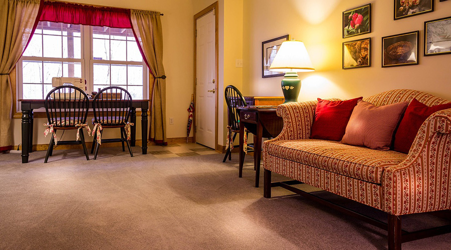 All About Carpet Cleaning in Gainesville, FL