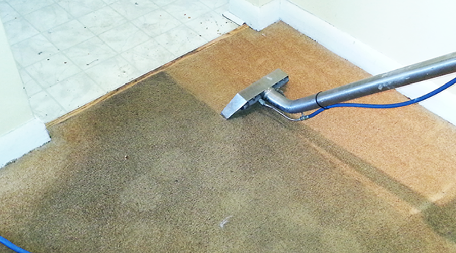 Carpet Cleaners Gainesville
