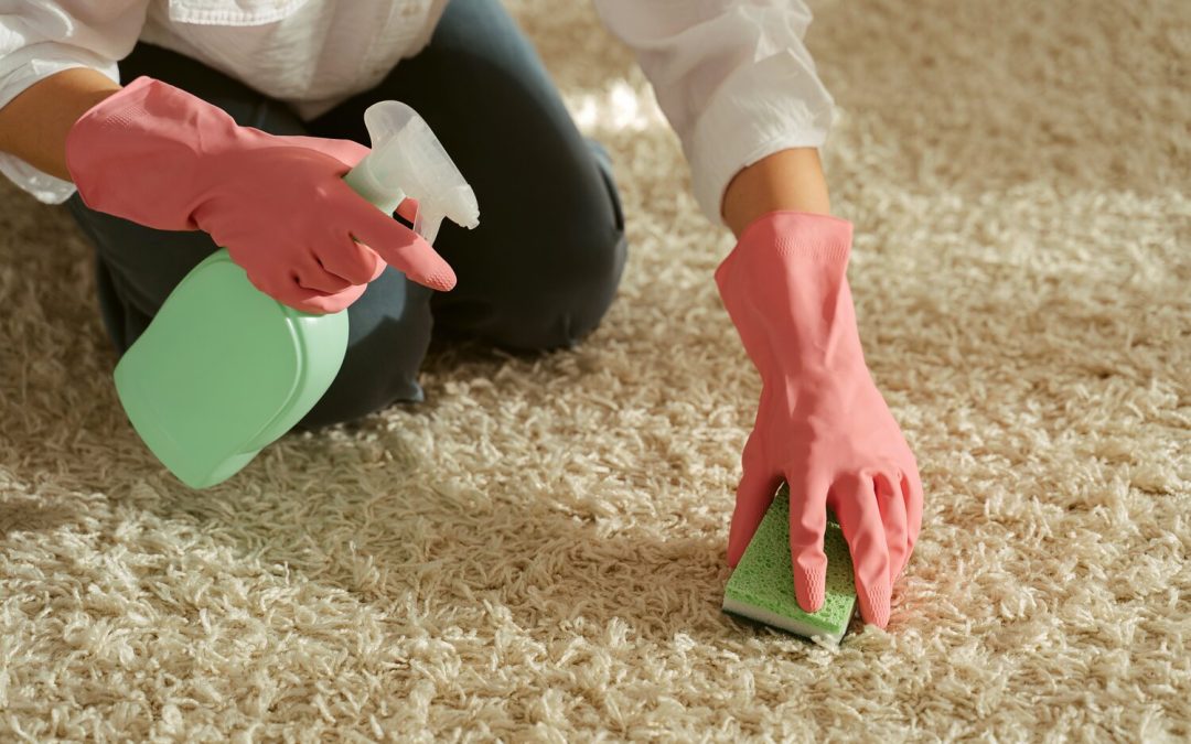 How to Improve Your Gainesville Home’s Indoor Air Quality with Professional Carpet Cleaning