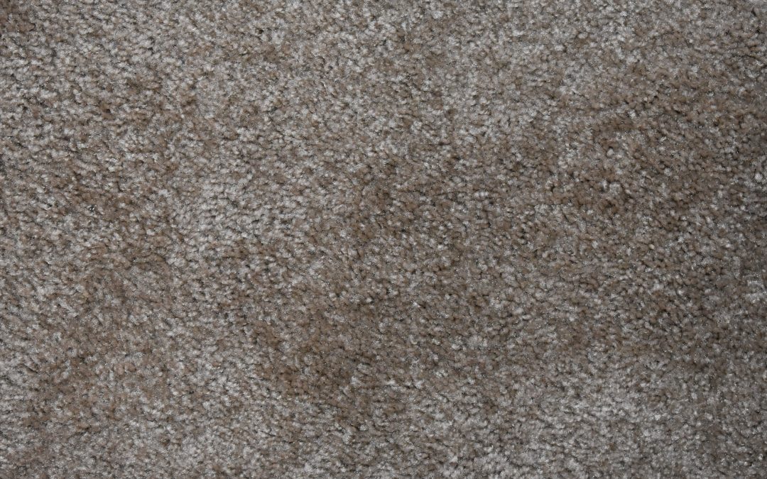 3 Common Reasons for Why Your  Carpet May Be Starting to Smell