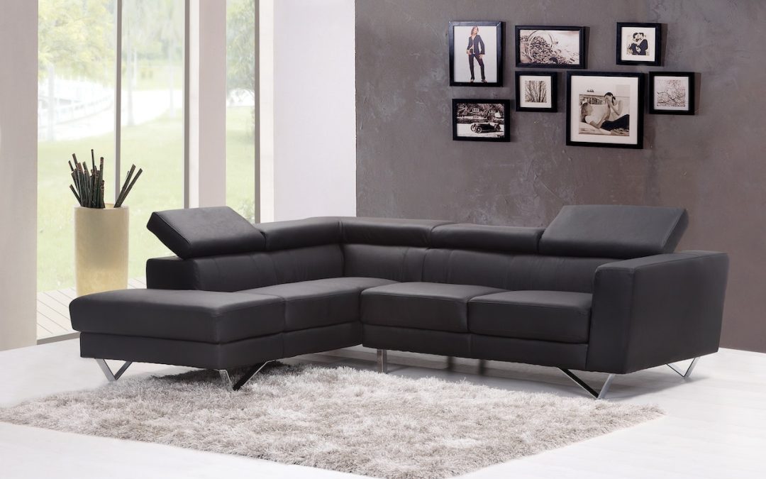 Important Reasons to Hire Professional Couch Cleaning in Gainesville Fl