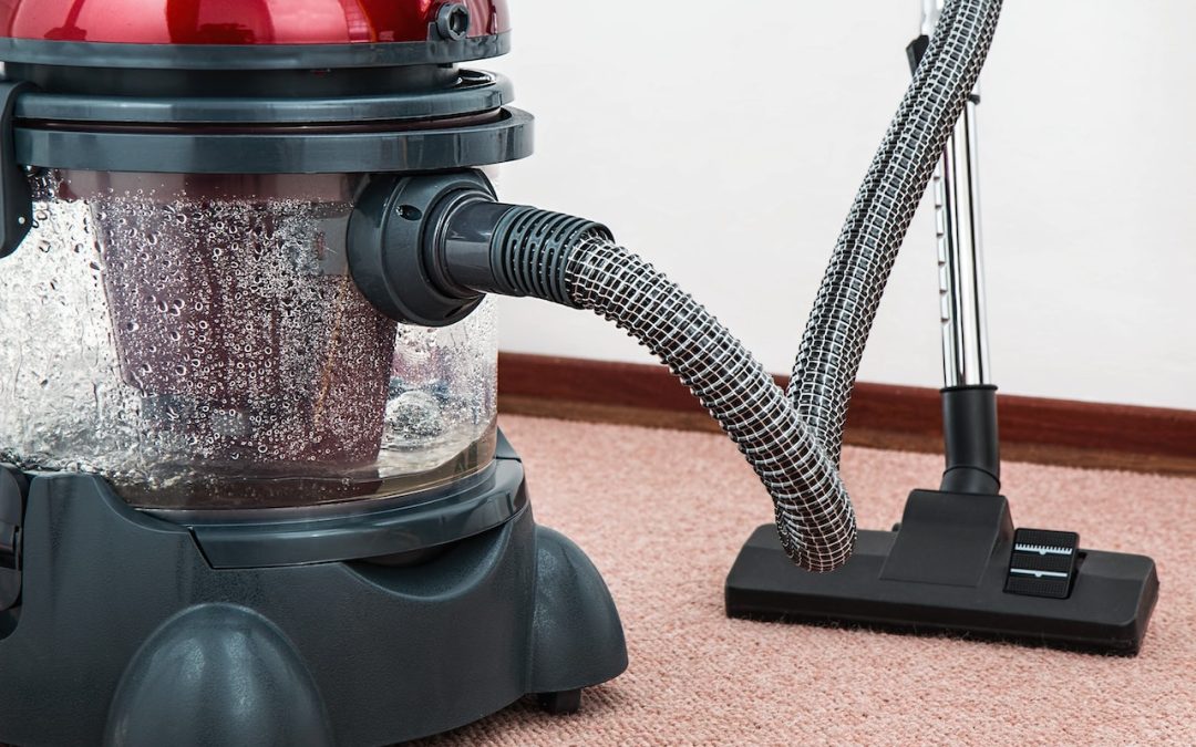 How to Choose Between Shampooing and Steam Cleaning Your Carpets